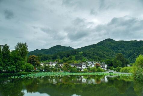 七彩部落原来叫金华村,住着70多户人家,长期以种茶为生。2015年,村民商量决定自筹资金,成立合作社来搞旅游。于是大家决定把房屋的墙壁刷上各种颜色,打造一个“七彩部落”。“七彩部落”这个名字的灵感来源于毛泽东的诗词“赤橙黄绿青蓝紫,谁持彩练当空舞”。改造后的村落在2016年4月底推出后一炮走红。村民们的日子也跟着热闹富裕起来,有了更多的就业机会,年轻人不在外出务工,也再也没有留守儿童,准确讲七彩部落的形成是村民的自立自强的创新发展成果。正如哈弗为自主品牌的崛起孜孜不倦,不断谋求创新发展,才有了今天SUV领导者的成就。大家亲切的称七彩部落为一个“望得见山、看得见水、记得住乡愁”的童话世界。