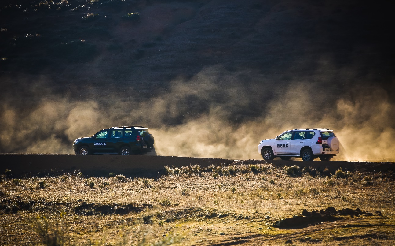 春节团聚 新普拉多带你回到心的开始