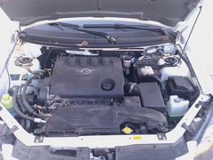Polo/��3�ǳ����� 8��������������