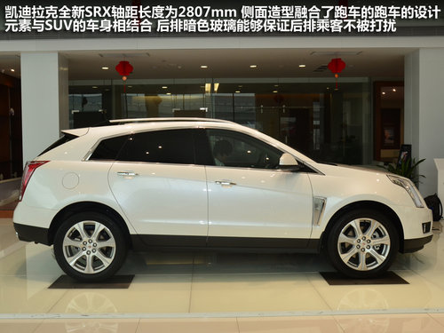 �¿������SRX