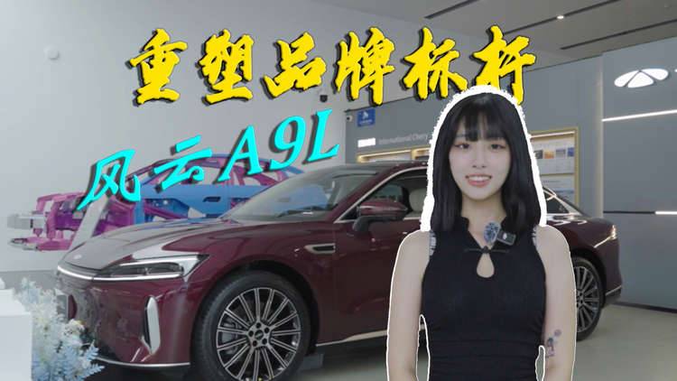 20万就能比肩“56E”？静态体验风云A9L