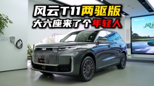风云T11两驱版：内卷的大六座市场来了个“年轻人”