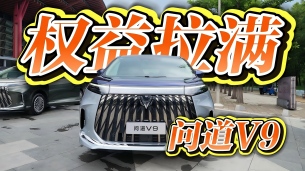 上市权益拉满，问道V9这次真拼了