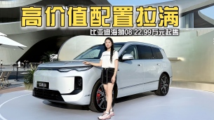 22.99万元起售,全系大满配,比亚迪海狮08正式上市