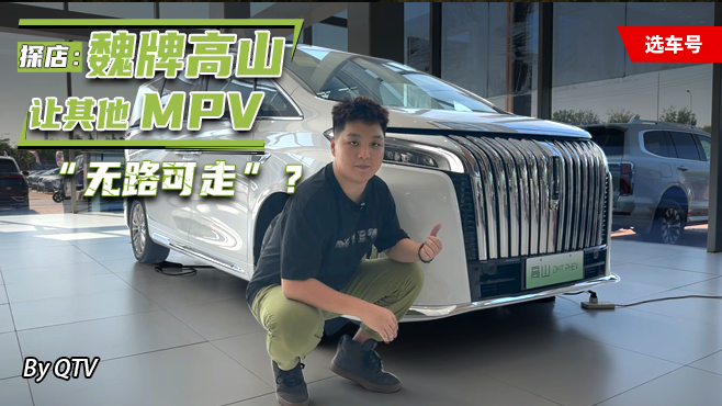 探店：魏牌高山 让其他MPV“无路可走”？