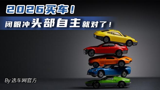2026买车！闭眼冲头部自主就对了！