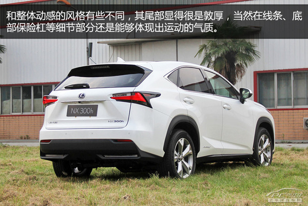 ׿˹NX300hʵ ϵSUV