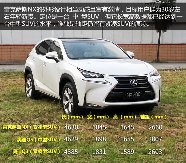 ׿˹NX300hʵ ϵSUV