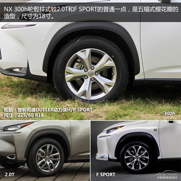 ׿˹NX300hʵ ϵSUV