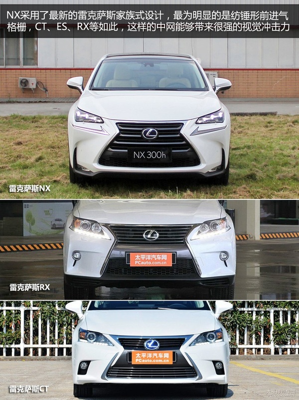 ׿˹NX300hʵ ϵSUV