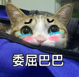 Ҳ㿪Դһ