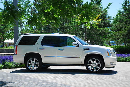 () ׵Escalade 2009