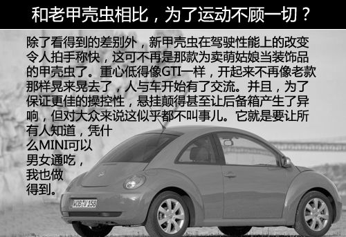 和老甲壳虫比 和老甲壳虫比