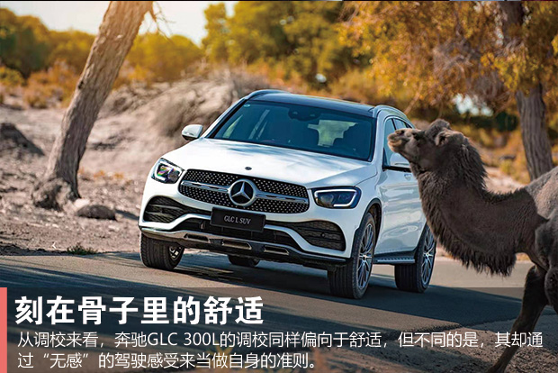 ôĲǱ Լȫ±GLC 300L