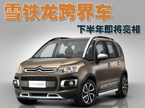 雪铁龙(进口) C3