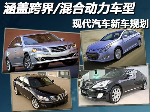 现代(进口) 辉翼