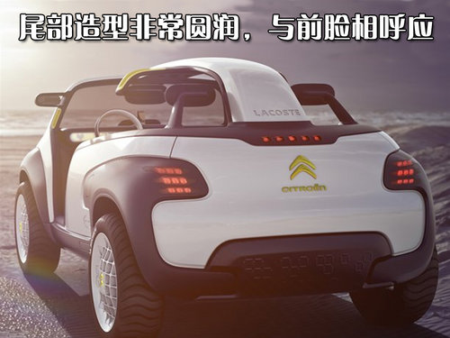 东风雪铁龙 C2 2010款